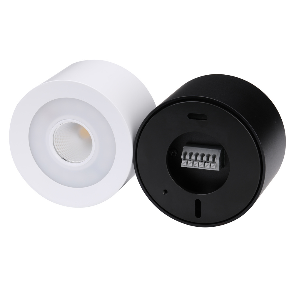 High Quality Ra95 blue lighting separated Newest best smart rgb cct led downlight for Dali Loxone KNX DMX