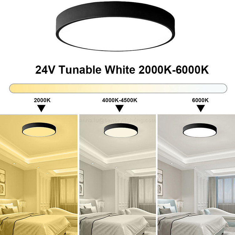 Benory 24V Smart Ceiling Light for KNX Loxone 2000-6000K Tunable White 18W D300mm Flush Mount Bedroom Lamp LED Fixtures