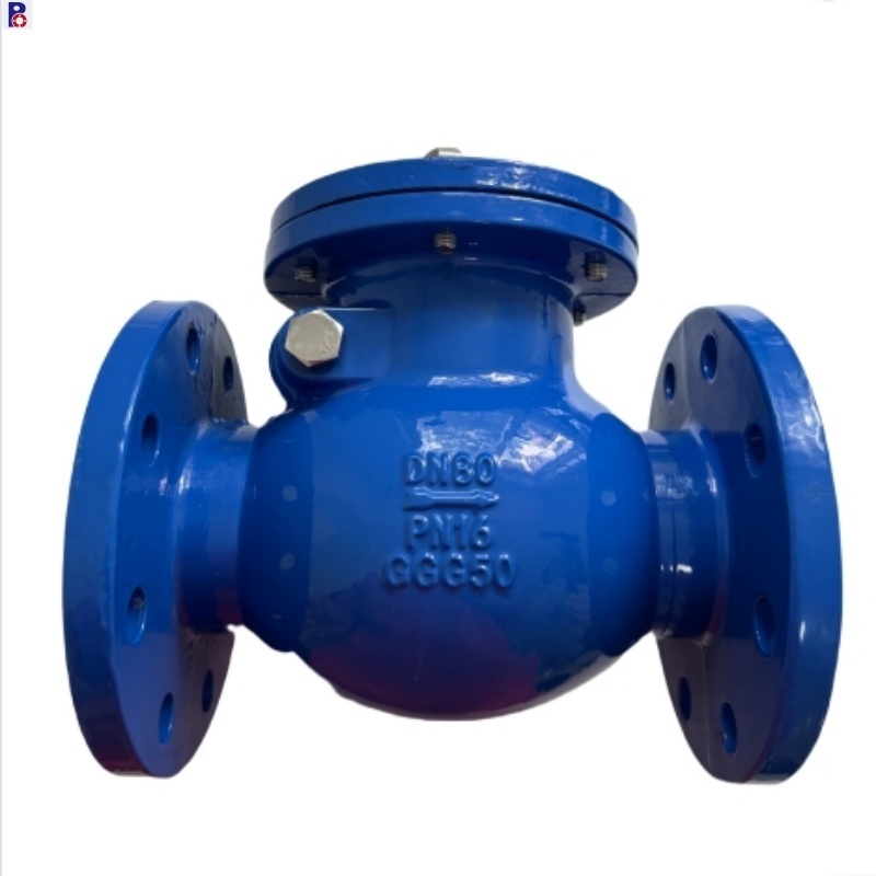 China supplier ISO certification QT450 GGG50 Material body 1.0Mbar 1.6Mbar OEM Flange Connection Swing  check valve.