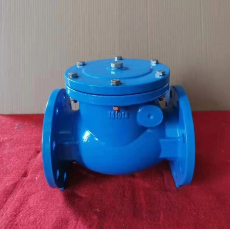 DN100 BS standard Ductile iron PN16 4'' 6''   double flange FLEXIBLE DISC CHECK VALVE