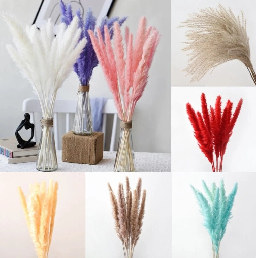 Artificial Reed Hair Pampas Grass Artificial Plant Wholesale Simulated Plants Flocking