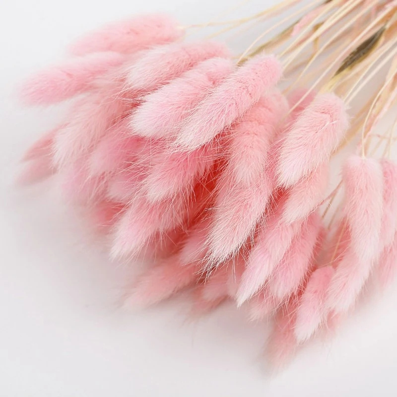 Artificial Reed Hair Pampas Grass Artificial Plant Wholesale Simulated Plants Flocking