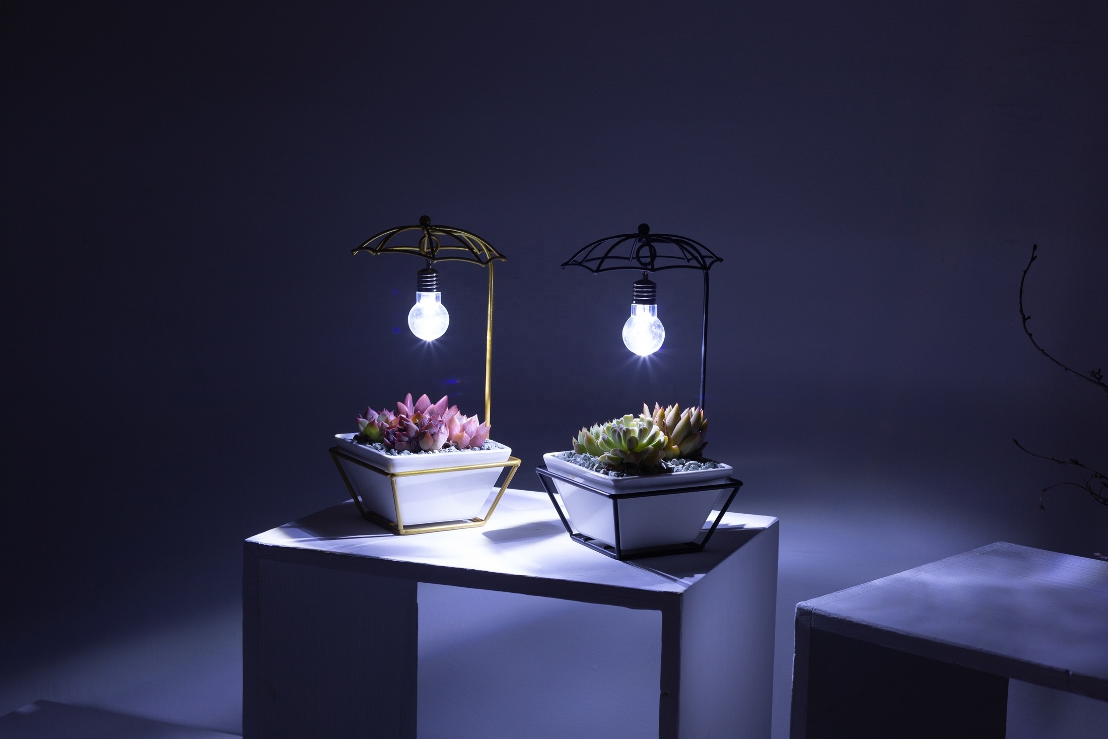 Original Modern Simple Creative Umbrella Bulb Lights Iron Frame Pot Set Trapezium Ceramic Flower Succulent Pot Green Plant Pot