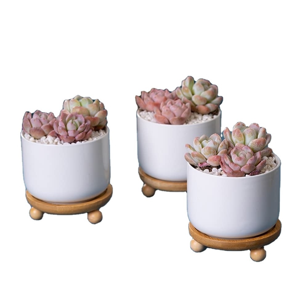 Wife Mother's Day Birthday Gifts Women Gift Ideas Indoor Outdoor 3 Ceramic Creative Bamboo Tray Succulent Flower Planter Pot