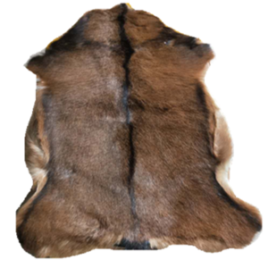 short hair natural color goat skin rug