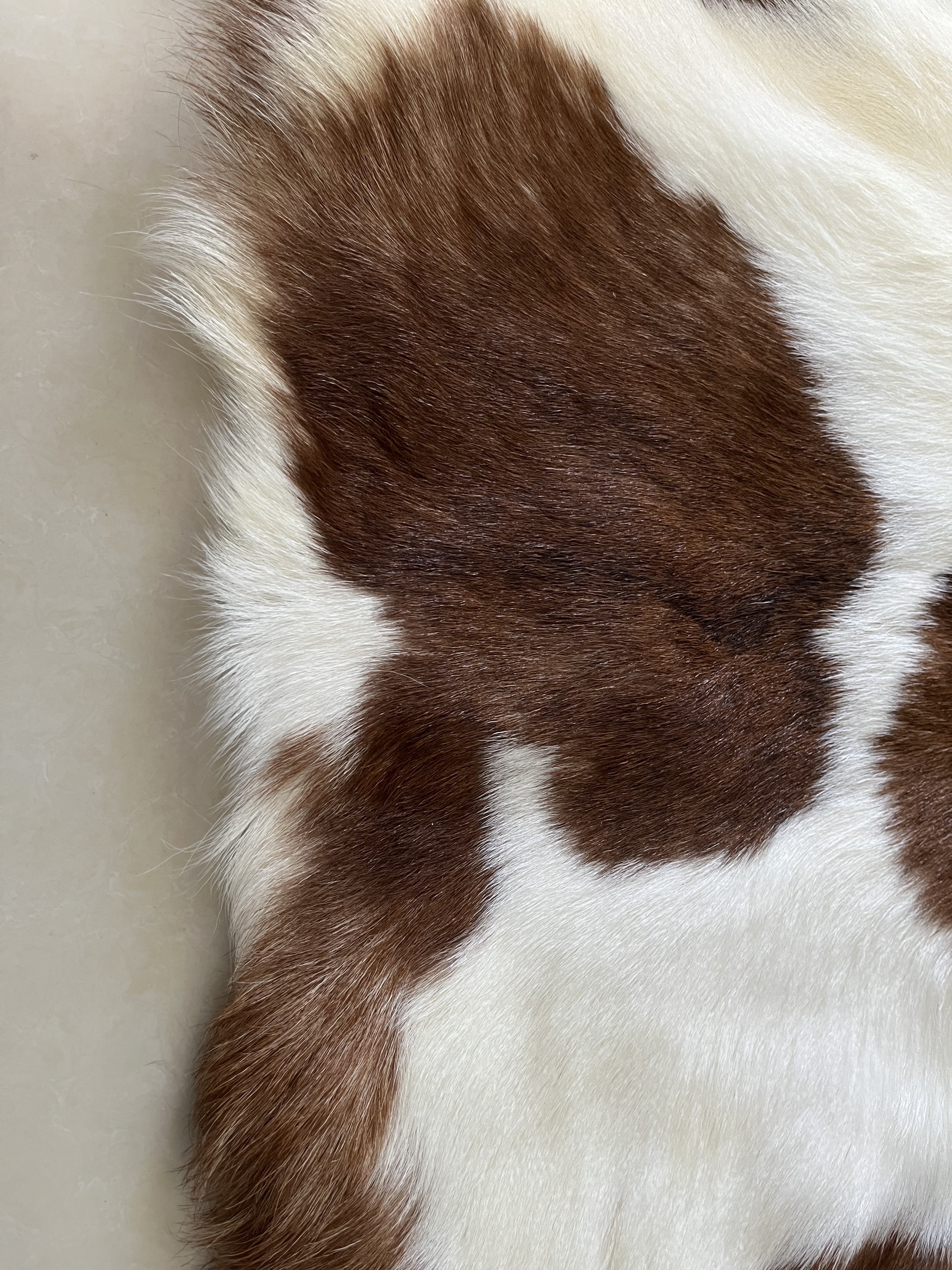 Whole sale factory price promotion Floor Real Sheepskin Carpet real fur rug short hair goat skin rugs for home