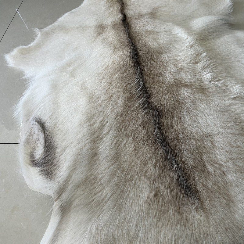 Whole sale factory price promotion Floor Real Sheepskin Carpet real fur rug short hair goat sheepskin rugs for home