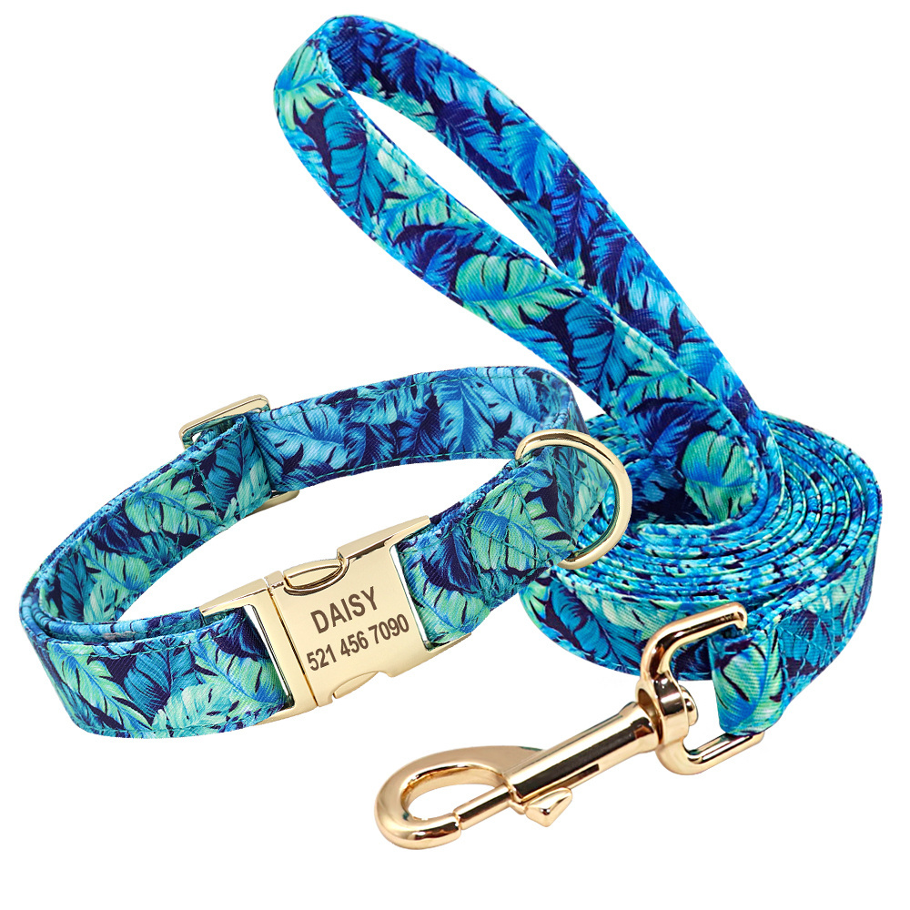 Beirui New Gold Nameplate Buckle Nylon Lining Printed Cloth Pet Dog Collar & leash De Perro For Dogs