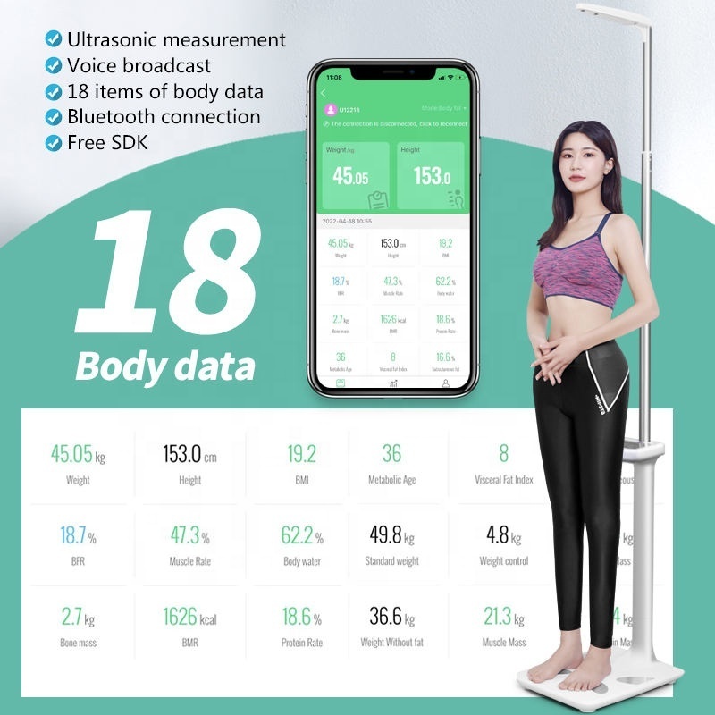 BT Factory Wholesale Ultrasonic Human Body Composition Analyzer Electronic Digital Bluetooth Body Fat Adult Height Weight Scale