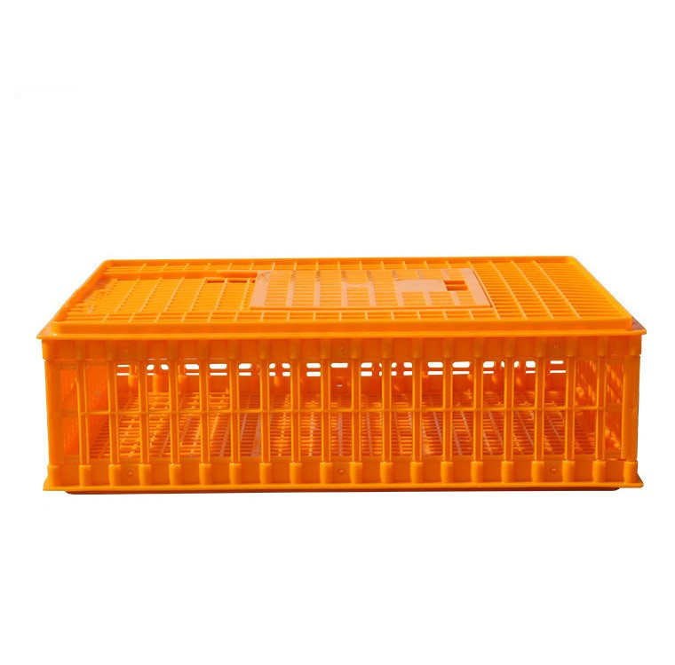 plastic orange chicken crates chicken transport crates for sale  plastic cages for chicken