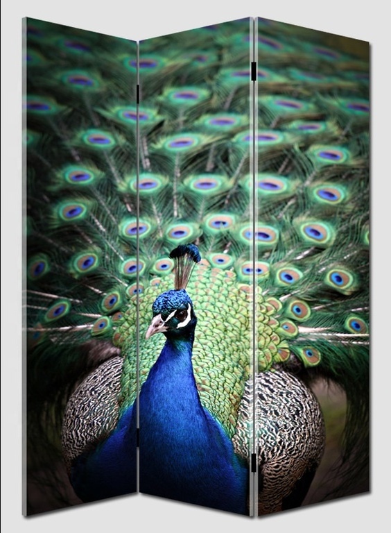 Folding room divider waterproof canvas Peacock animal partition wall ,paravent room divider folding