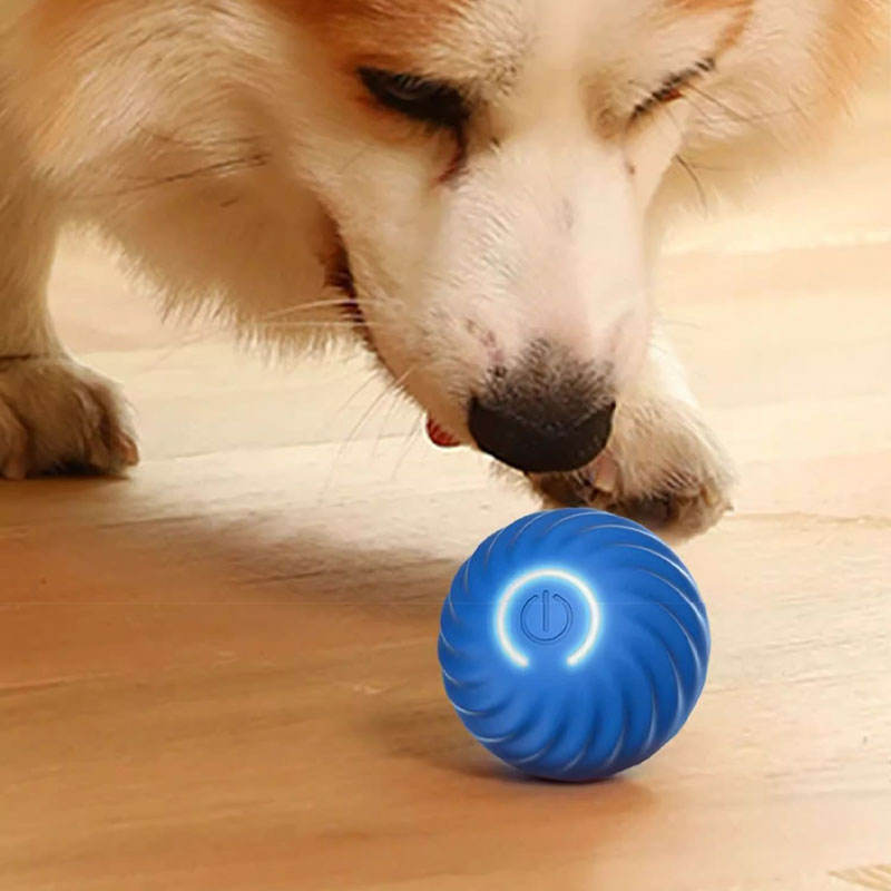 Hot Selling Automatic Funny Dog Cat Interactive Toys Rechargeable Durable Teasing Dog Ball Electric Pet Toys