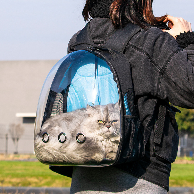 Mochila Transportadora Cat Carry carrier backpack transparentTransport a Dos Chat Travel Backpack