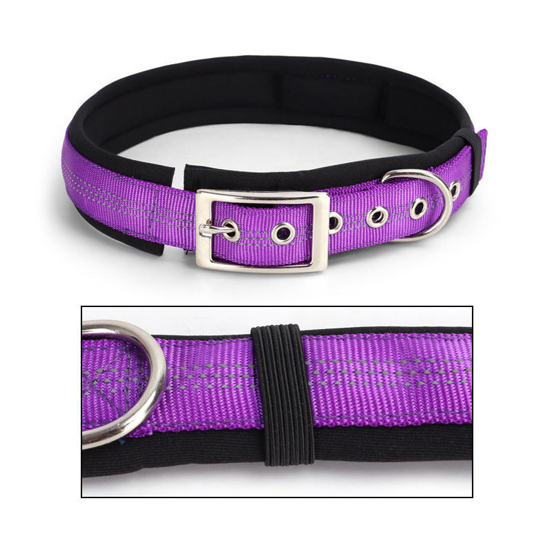 Personalized Custom Luxury Nylon Heat Transfer Dog Collar Leash