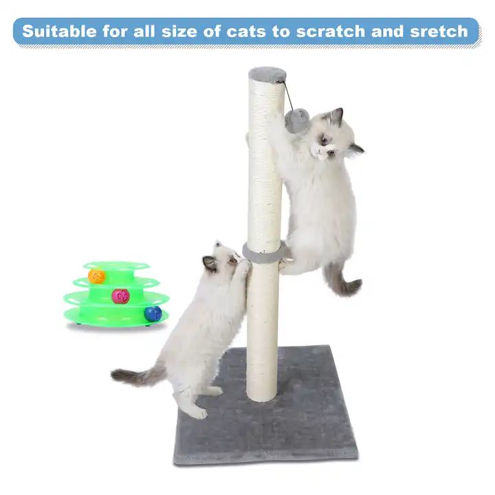 BS CT005 Hot sale Cat Toy Ball 31