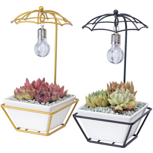 Creative Modern Umbrella Shape Bulb Lamp White Light Succulent Ceramic Pot Gold Metal Flower Planter Pot Flower Pots & Planters