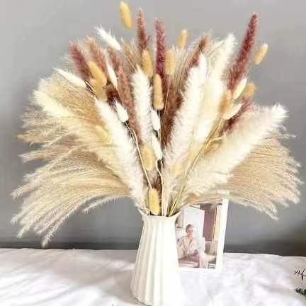 90 pcs 5 colors Flower Arrangement small reed dried flowers pampas grass artificial wedding home decor pampas grass