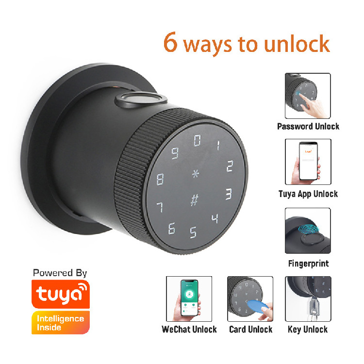 Security Electric Black Wifi Tuya Smart Digital Door Lock Password Card Code Key Front Fingerprint Smart Lock