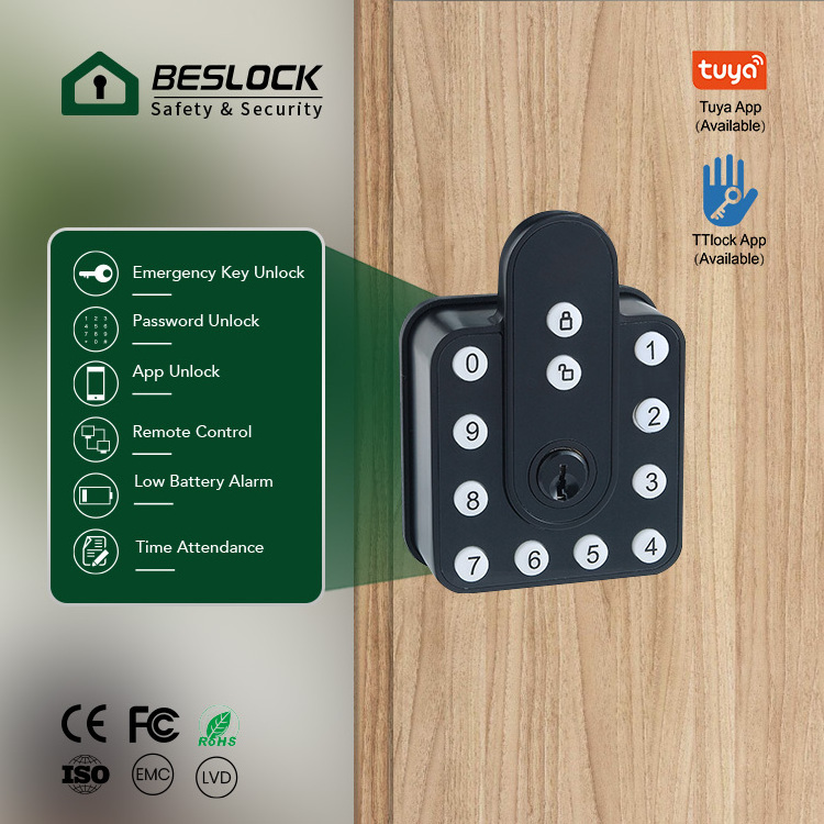 Zinc Alloy Electronic Touch Keypad WiFi Door Lock Keyless Entry Smart Digital Door Handle Lock