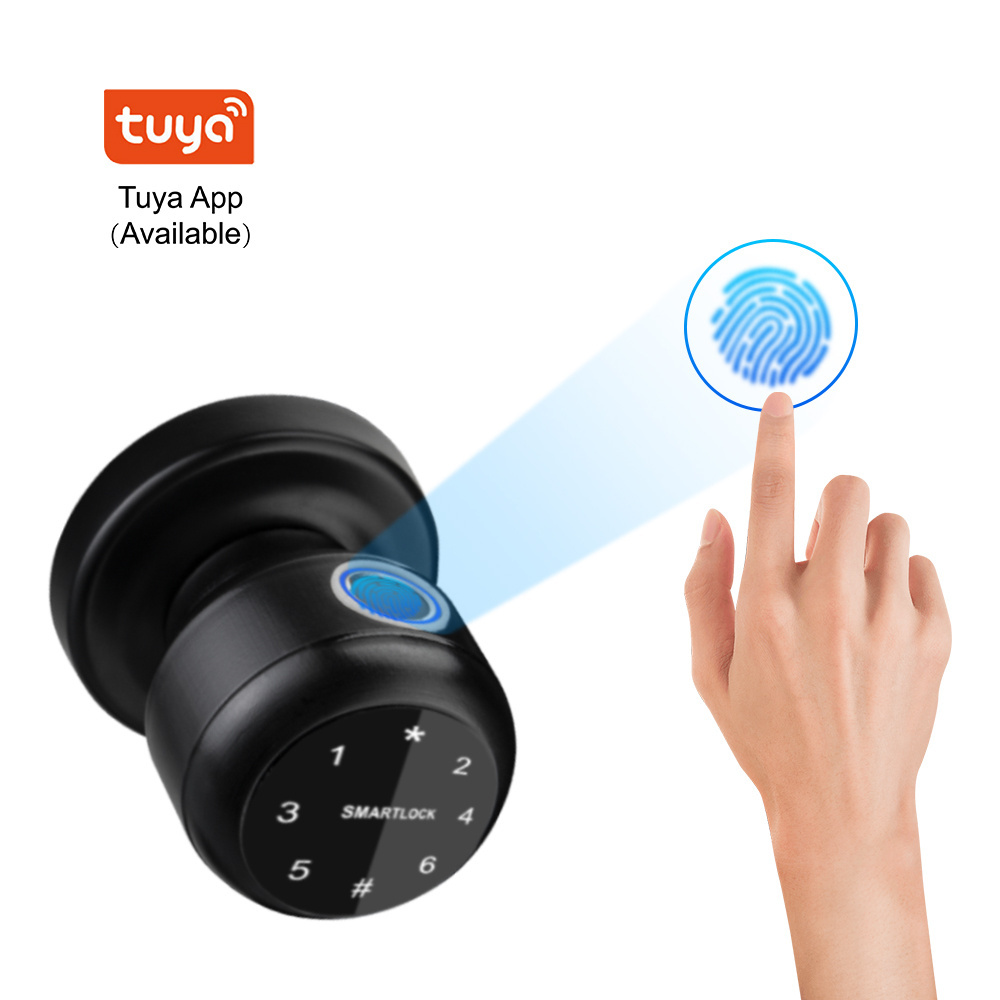 New Release Bedroom Tuya App Biometric Intelligent Fingerprint Password Remote Safety Security Smart Knobs Lock Door Lock