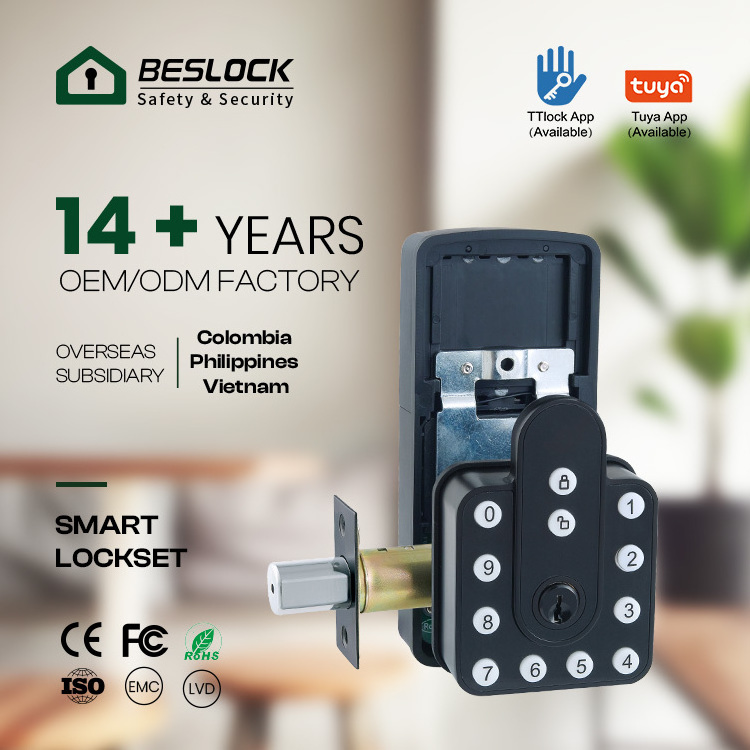 Zinc Alloy Electronic Touch Keypad WiFi Door Lock Keyless Entry Smart Digital Door Handle Lock