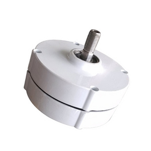 100W Low Speed Small Wind Turbine Pmg Motor Permanent Magnet Generator