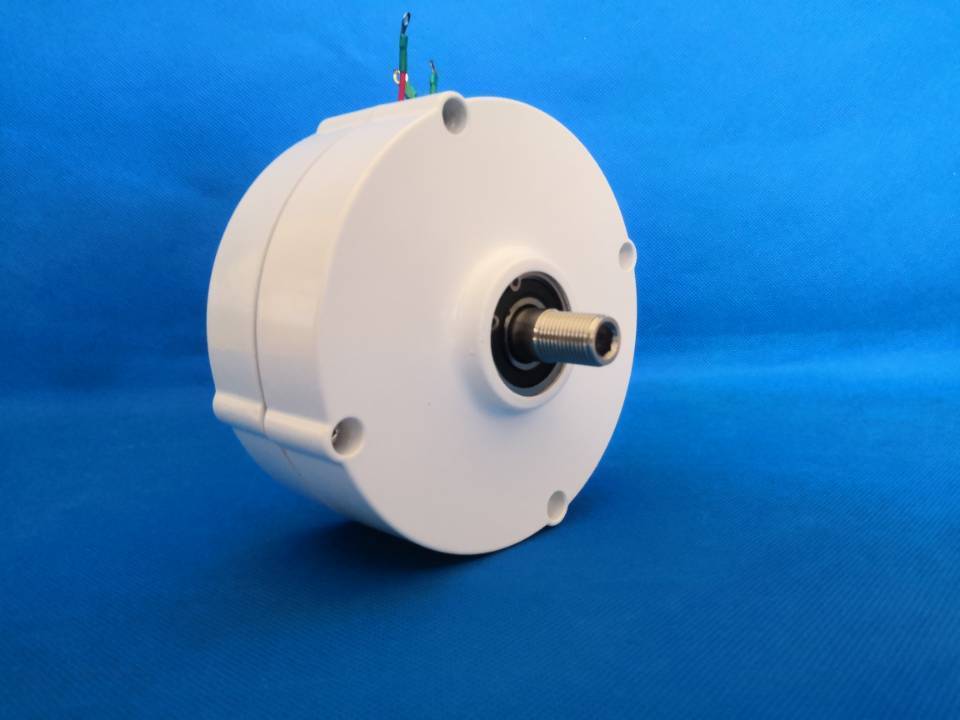 100W Low Speed Small Wind Turbine Pmg Motor Permanent Magnet Generator