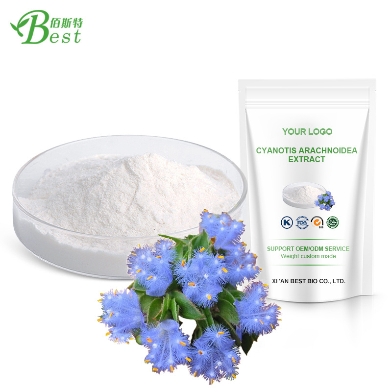 Top Quality Natural Cyanotis Arachnoidea Extract bulk Beta Ecdysterone Powder 98% ecdysterone