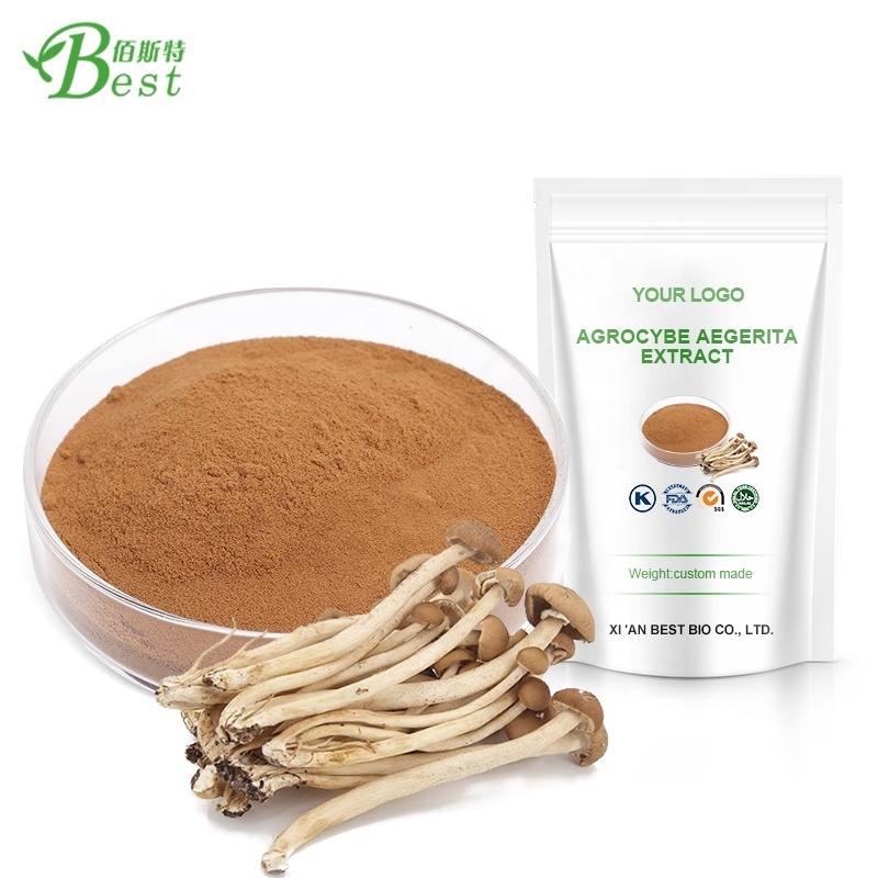 Top quality agrocybe aegerita extract/tea tree mushroom/agrocybe cylindracea extract 10:1