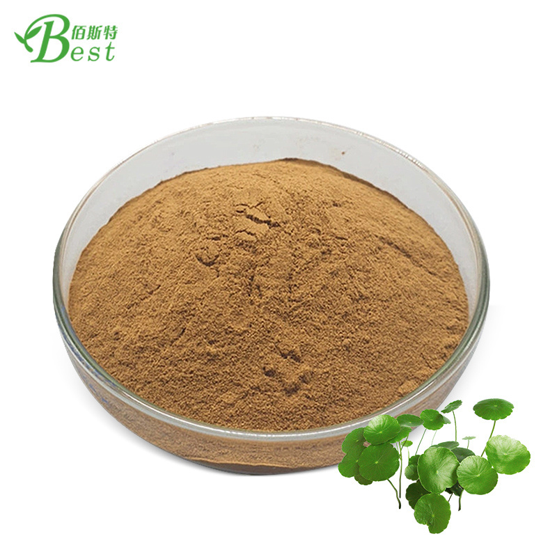 Hydrocotyle Asiatica Extract/Gotu Kola Leaf Powder Asiatic acid 90%