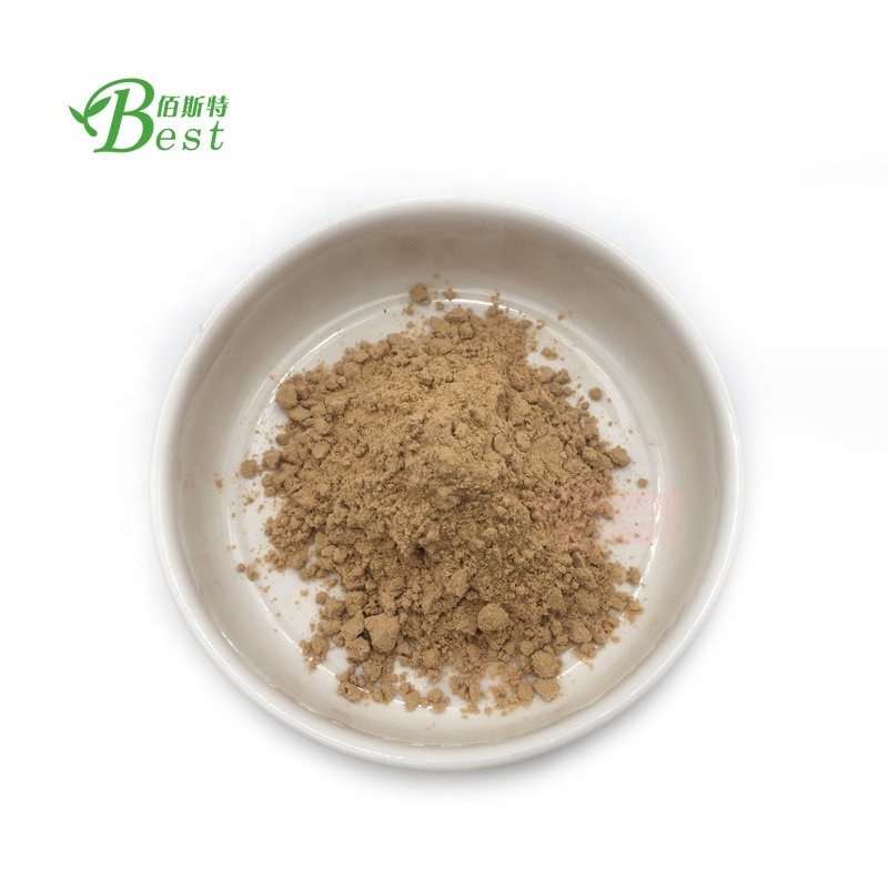 Wholesale Kava Root Extract Brown Yellow Powder 10:1 Kava Extract Powder Food TLC Drum Light Brown Fine Powder 2 Years 1kg