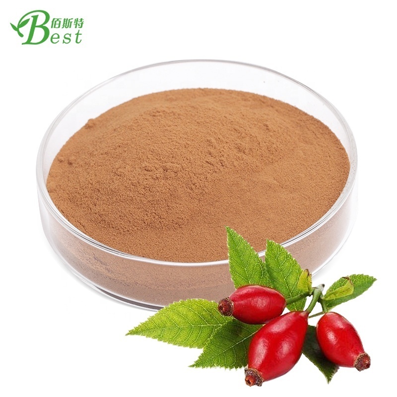 Water soluble rose hip extract powder 10:1/rose hip extract vitamin c