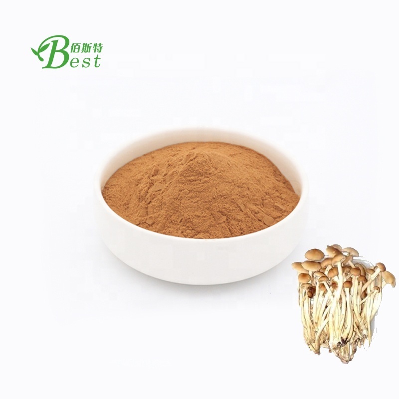 Hot sale tea tree mushroom extract/agrocybe aegirita extract/mushroom polysaccharide 30%