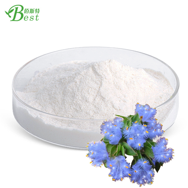 Top Quality Natural Cyanotis Arachnoidea Extract bulk Beta Ecdysterone Powder 98% ecdysterone