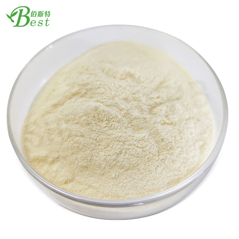 Wholesale bulk almond milk powder lmond protein powder instant almond extract powder