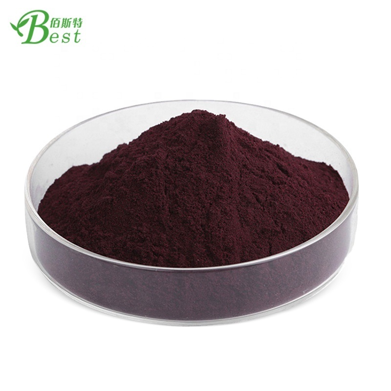 Wholesale cranberry powder extract proanthocyanidins /cranberry juice extract cranberry