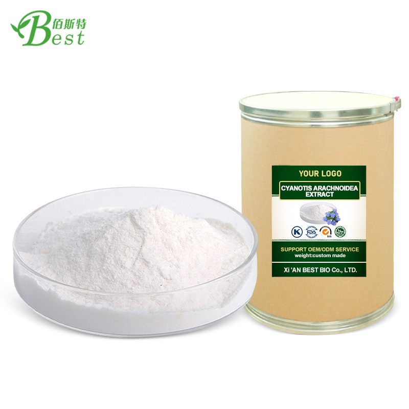 Top Quality Natural Cyanotis Arachnoidea Extract bulk Beta Ecdysterone Powder 98% ecdysterone