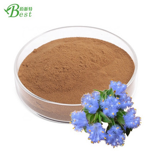 Best sale cyanotis vaga extract/ cyanotis vaga extract powder/ cyanotis vaga powder 10:1