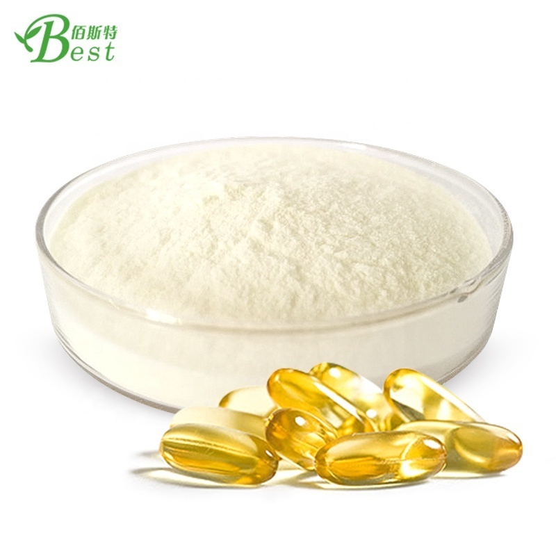 High quality Pure Food Grade fish oil dha powder capsule DHA Algal Oil Powder