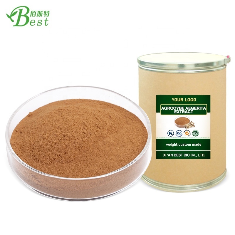 Top quality agrocybe aegerita extract/tea tree mushroom/agrocybe cylindracea extract 10:1