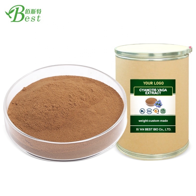 Best sale cyanotis vaga extract/ cyanotis vaga extract powder/ cyanotis vaga powder 10:1