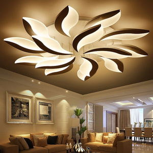 Flower LED Ceiling Lights Living room Bedroom Lustres Home Ceiling Lamp Acrylic Lamparas de techo LED Ceiling Lighting MD85072