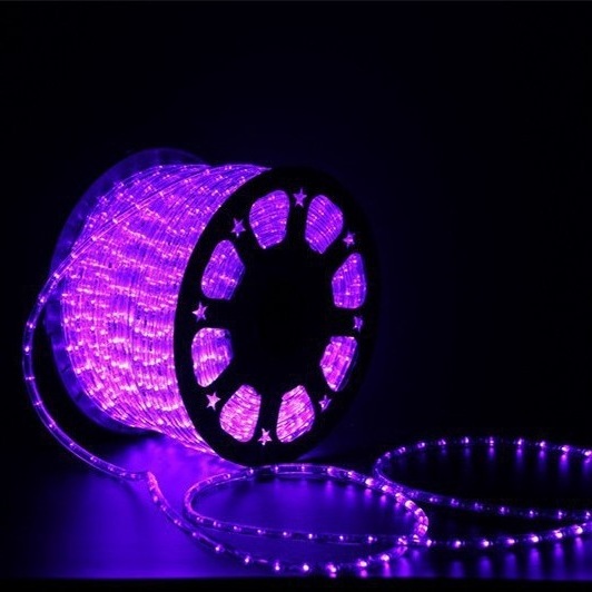 Wholesale 220V/110V 100M Christmas Decoration RGB Outdoor Waterproof Soft White LED Rope Light