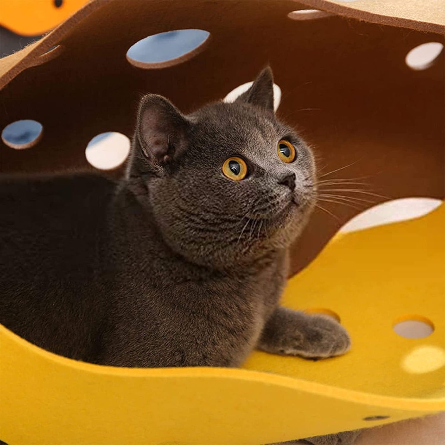 Cat Tunnels Bed Foldable Pet Tunnel Tube Bed with Holes DIY Cats Play Mat Activity Rug Toy for Interactive/Exercise Felt Cloth