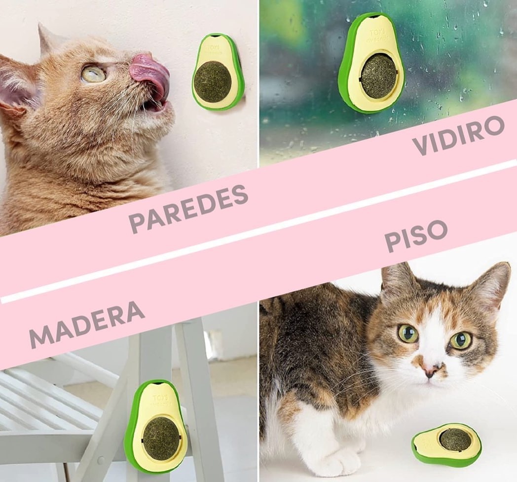 Catnip Wall Toys Avocado with Rot-able Fun Self Safe Healthy Kitten Chew Toys Teeth Cleaning Cat Bite Toy