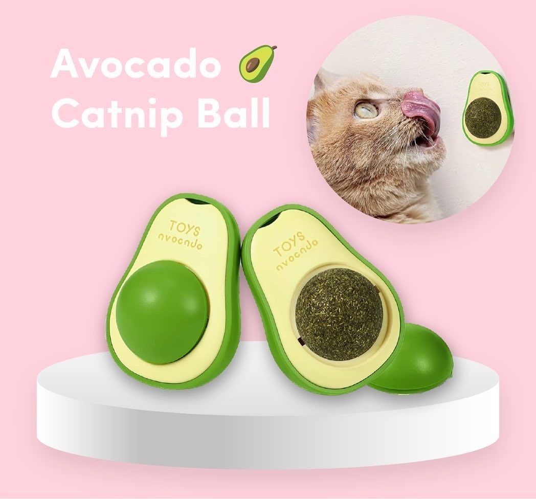 Catnip Wall Toys Avocado with Rot-able Fun Self Safe Healthy Kitten Chew Toys Teeth Cleaning Cat Bite Toy