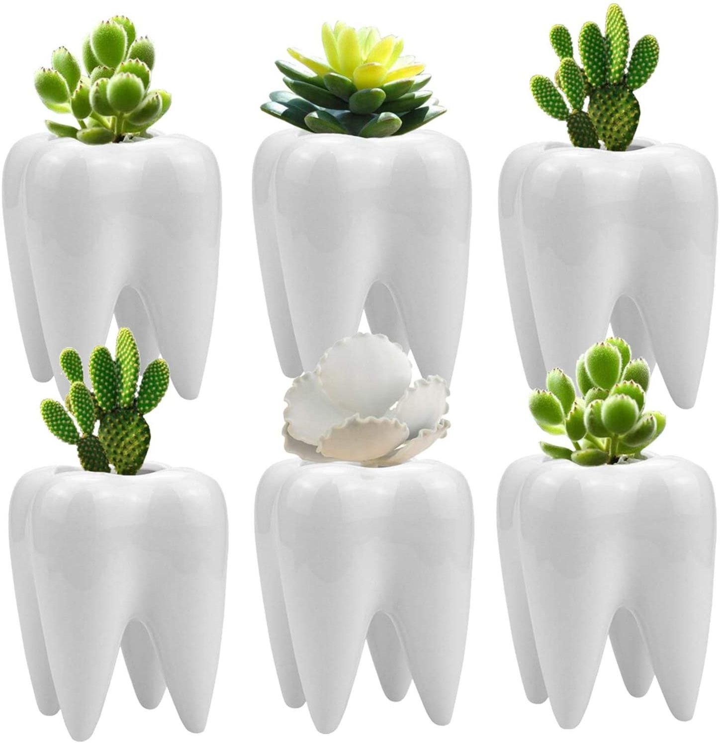 Stock Hot sale Tooth Shape Planter Pot Ceramic Cactus Planter Pot Modern Style Pen Holder Pot For Plant