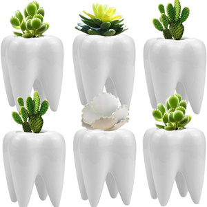 Stock Hot sale Tooth Shape Planter Pot Ceramic Cactus Planter Pot Modern Style Pen Holder Pot For Plant