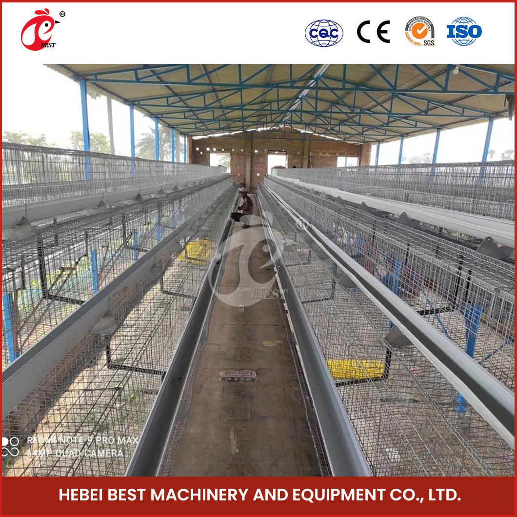 China Raised Baby Chicken Coop A Type Pullet House Supplier Centrally Adjust Waterline Design Pullet Eggs Cage