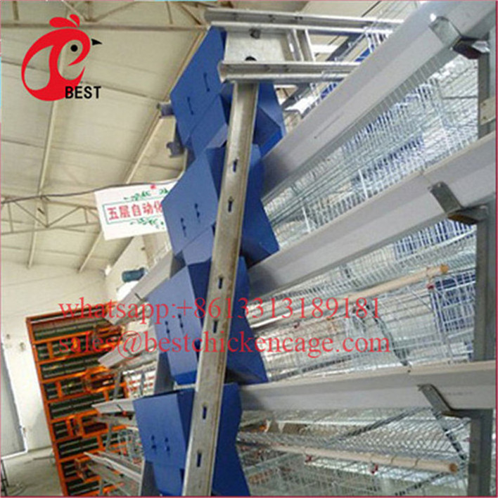 Professional cheap poultry houses manufacture of chick brooding cage galvanized raising broiler chicken equipment from China